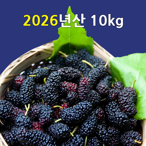 [선운산농협] 2026년햇오디생과 (냉동/벌크)10kg