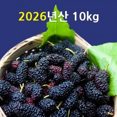[선운산농협] 2026년햇오디생과 (냉동/벌크)10kg