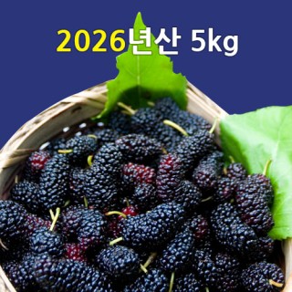 [선운산농협] 2026년햇오디생과 (냉동/트레이)5kg