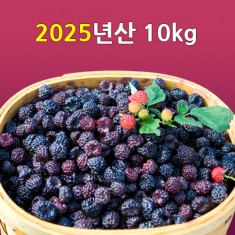 [선운산농협]2025년산 햇 복분자생과 10kg(냉동/벌크)-가격할인